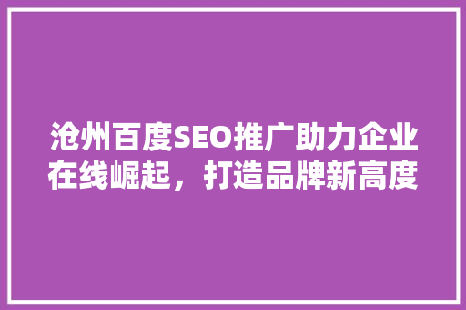 沧州百度SEO推广助力企业在线崛起，打造品牌新高度