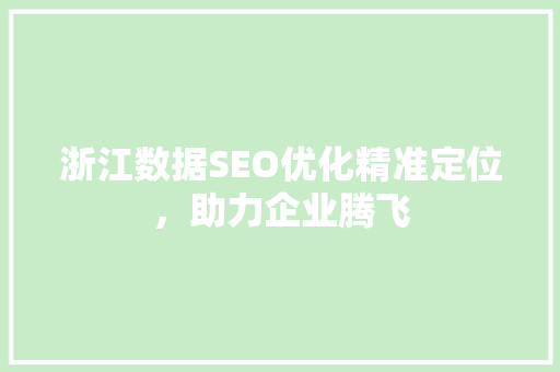 浙江数据SEO优化精准定位，助力企业腾飞