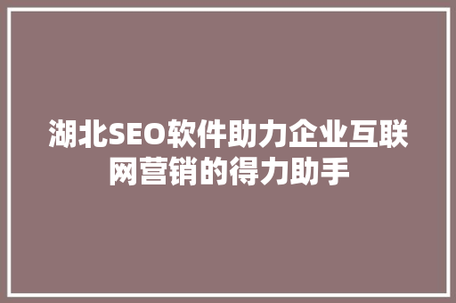 湖北SEO软件助力企业互联网营销的得力助手