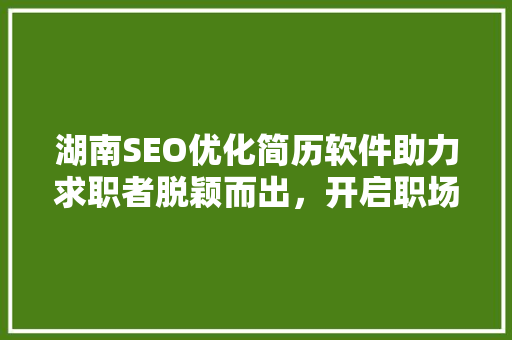 湖南SEO优化简历软件助力求职者脱颖而出，开启职场新篇章