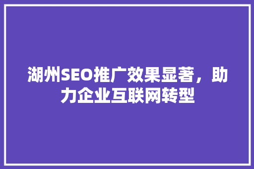 湖州SEO推广效果显著，助力企业互联网转型