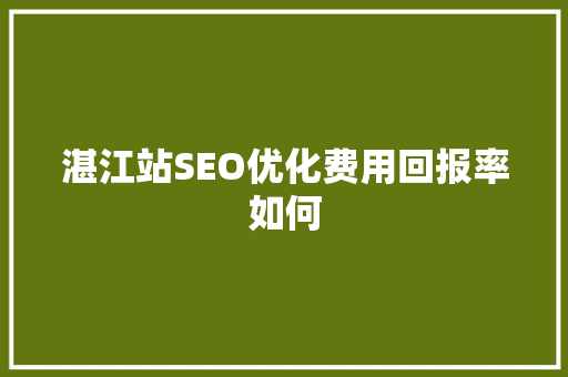 湛江站SEO优化费用回报率如何