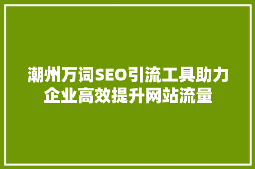 潮州万词SEO引流工具助力企业高效提升网站流量