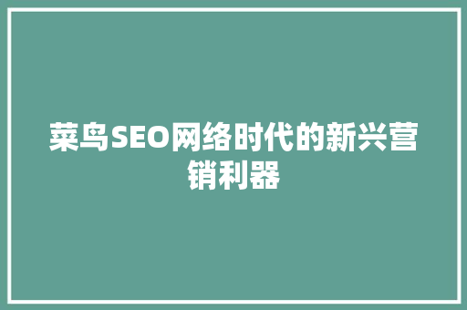 菜鸟SEO网络时代的新兴营销利器