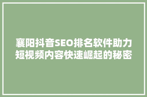 襄阳抖音SEO排名软件助力短视频内容快速崛起的秘密武器
