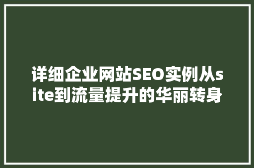 详细企业网站SEO实例从site到流量提升的华丽转身