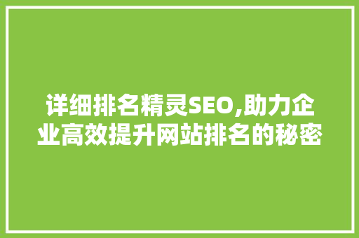 详细排名精灵SEO,助力企业高效提升网站排名的秘密武器