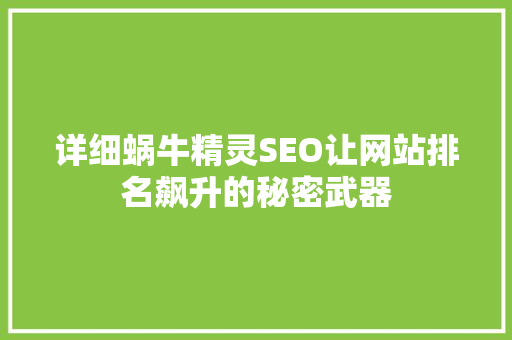 详细蜗牛精灵SEO让网站排名飙升的秘密武器