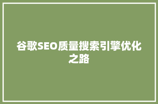 谷歌SEO质量搜索引擎优化之路