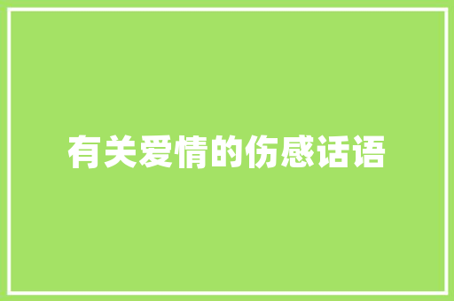 B代码引领未来编程潮流的智慧之光  第1张