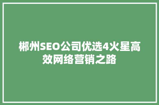 郴州SEO公司优选4火星高效网络营销之路