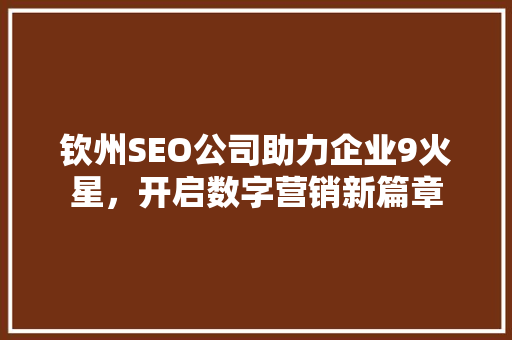 钦州SEO公司助力企业9火星，开启数字营销新篇章