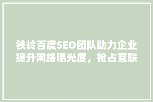 铁岭百度SEO团队助力企业提升网络曝光度，抢占互联网市场先机