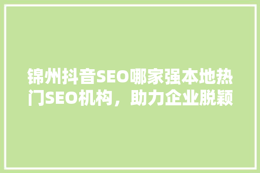 锦州抖音SEO哪家强本地热门SEO机构，助力企业脱颖而出