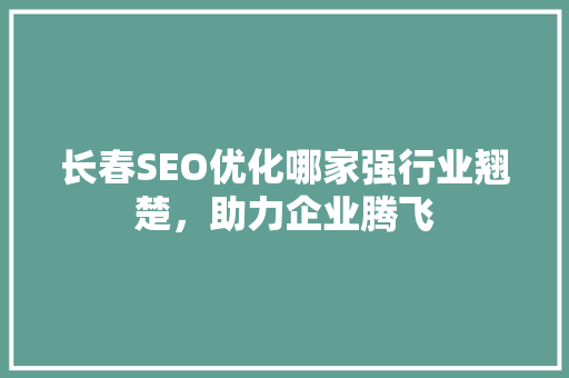 长春SEO优化哪家强行业翘楚，助力企业腾飞