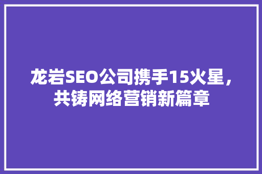 龙岩SEO公司携手15火星，共铸网络营销新篇章