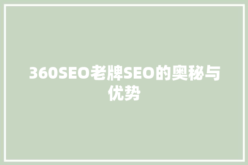 360SEO老牌SEO的奥秘与优势