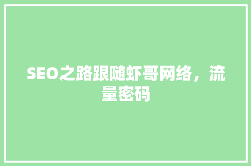 SEO之路跟随虾哥网络，流量密码