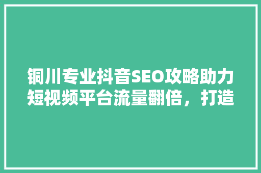 铜川专业抖音SEO攻略助力短视频平台流量翻倍，打造爆款内容