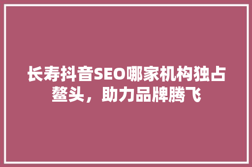长寿抖音SEO哪家机构独占鳌头，助力品牌腾飞