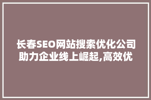 长春SEO网站搜索优化公司助力企业线上崛起,高效优化步骤