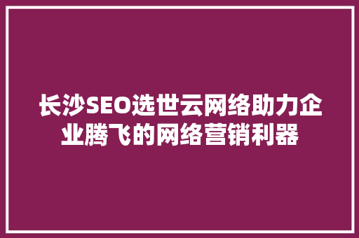 长沙SEO选世云网络助力企业腾飞的网络营销利器  第1张