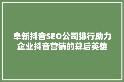 阜新抖音SEO公司排行助力企业抖音营销的幕后英雄