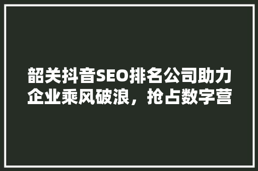 韶关抖音SEO排名公司助力企业乘风破浪，抢占数字营销新风口
