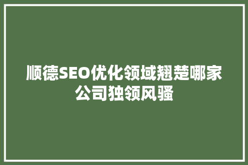 顺德SEO优化领域翘楚哪家公司独领风骚