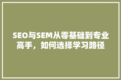 SEO与SEM从零基础到专业高手，如何选择学习路径