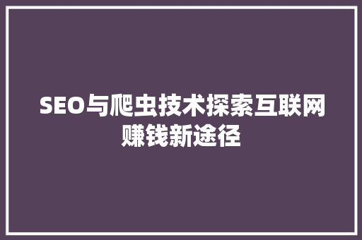 SEO与爬虫技术探索互联网赚钱新途径