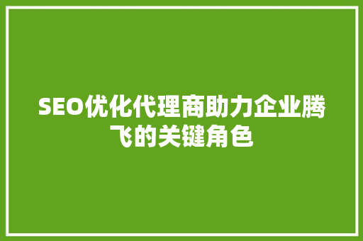 SEO优化代理商助力企业腾飞的关键角色