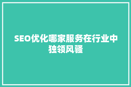 SEO优化哪家服务在行业中独领风骚