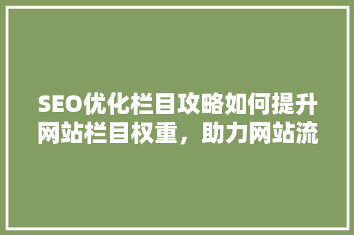 SEO优化栏目攻略如何提升网站栏目权重，助力网站流量增长