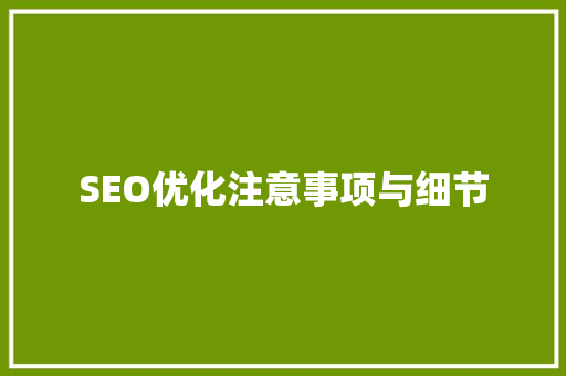 SEO优化注意事项与细节
