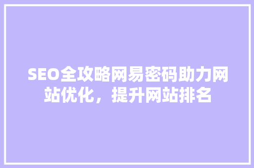 SEO全攻略网易密码助力网站优化，提升网站排名