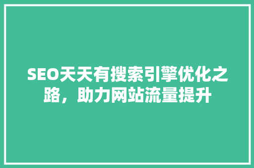 SEO天天有搜索引擎优化之路，助力网站流量提升