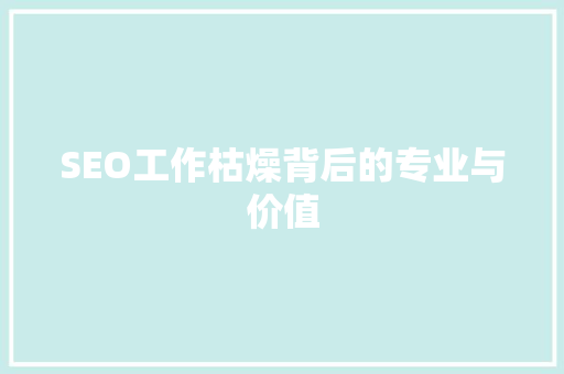SEO工作枯燥背后的专业与价值