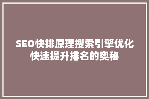 SEO快排原理搜索引擎优化快速提升排名的奥秘