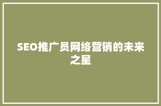 SEO推广员网络营销的未来之星