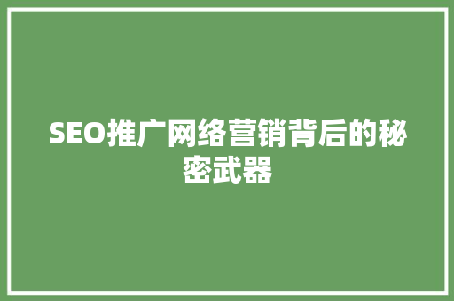 SEO推广网络营销背后的秘密武器