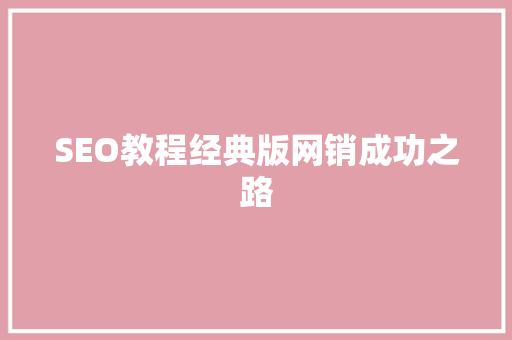 SEO教程经典版网销成功之路