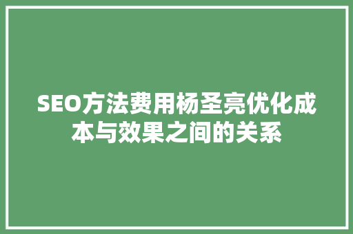 SEO方法费用杨圣亮优化成本与效果之间的关系