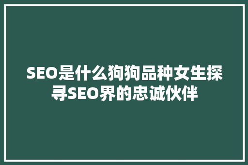 SEO是什么狗狗品种女生探寻SEO界的忠诚伙伴