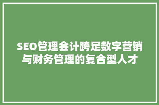 SEO管理会计跨足数字营销与财务管理的复合型人才