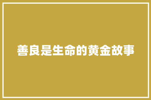 SEO营销利器12款火星软件助您高效优化