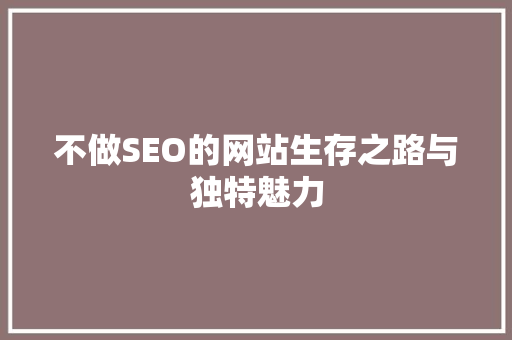 不做SEO的网站生存之路与独特魅力  第1张