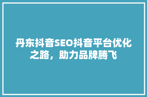 丹东抖音SEO抖音平台优化之路，助力品牌腾飞