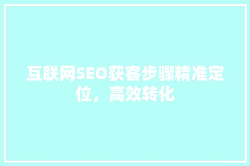 互联网SEO获客步骤精准定位，高效转化