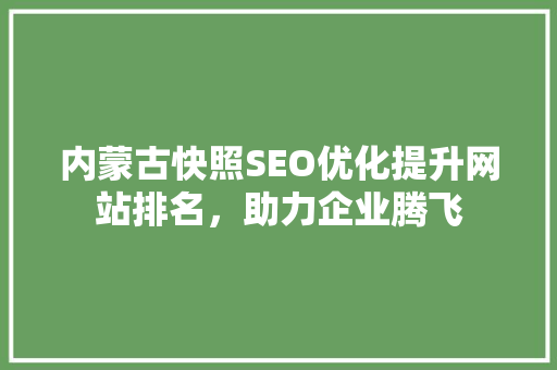 内蒙古快照SEO优化提升网站排名，助力企业腾飞